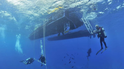 Seafari Dive Company Club Med