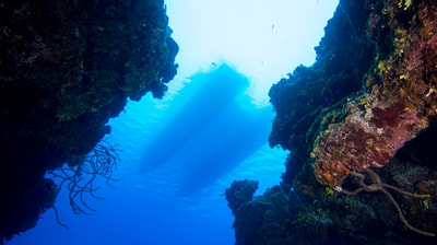 Seafari Diving - Club Med